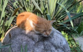 Faunapark a Zahrada poznání