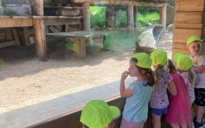 Výlet do ZOO