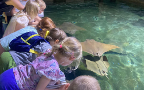 Výlet do ZOO