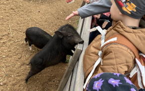 ZOO Nehvizdy