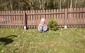 hledání vajíček na zahradě