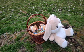 odměna od zajíčka