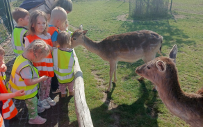 Zoo Nehvizdy