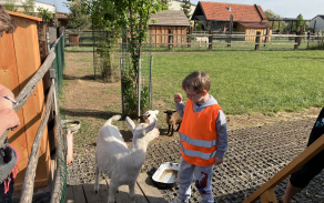 Zoo Nehvizdy